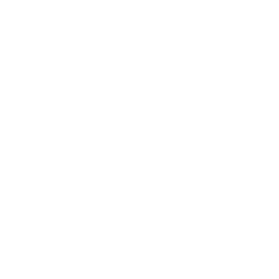 Logo guerrier de lumiere -blanc Le Guerrier de la Lumière