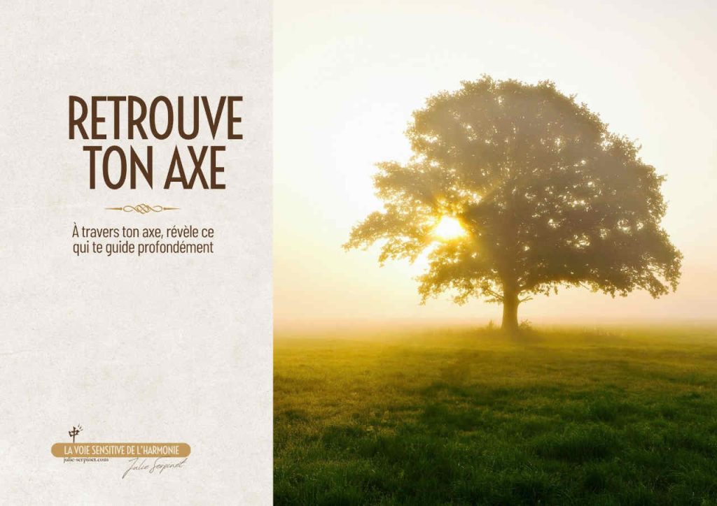 Ton Axe